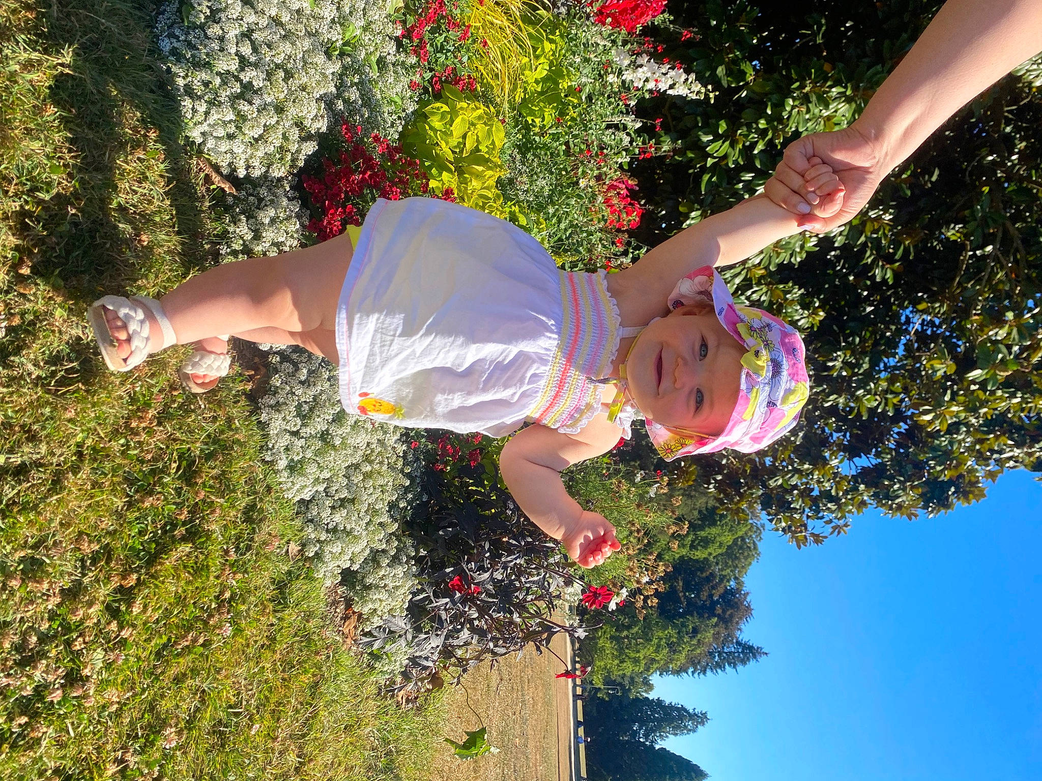 Barbara participe au concours pour gagner de l'argent avec cette photo : botany, fun, grass, happy, headwear, human_leg, joy, leisure, light, organism, people_in_nature, person, plant, recreation, shorts, shrub, sky, spring, sunlight, thigh