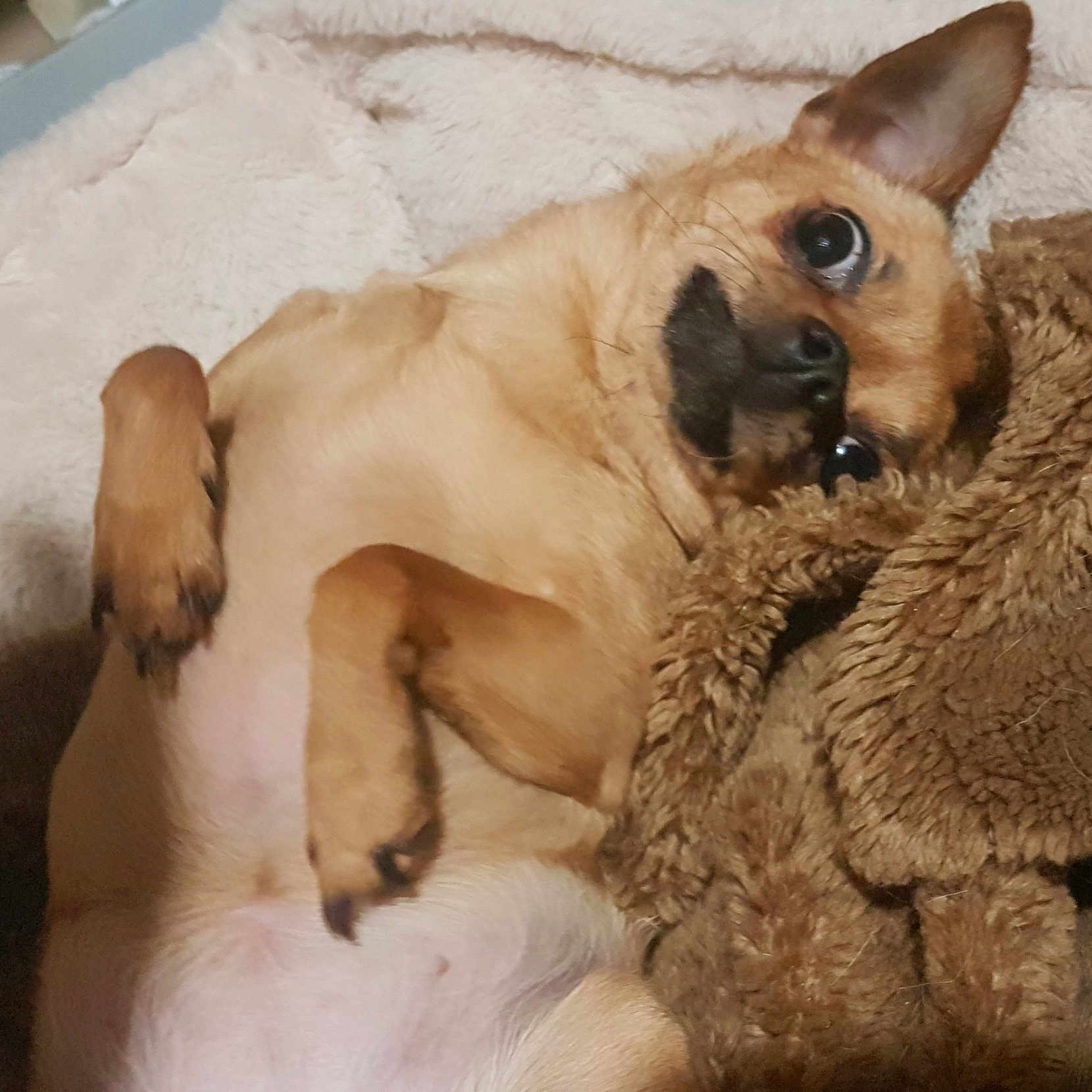 Mimi