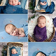 Anthony joined the competition — help win amazing prizes! newborn, baby, sleeping, swaddle, basket, blanket, knit_hat, blue, purple, fluffy, pillow, wooden_floor, greenery, studio, portrait, collage, props, peaceful, closeup, infant