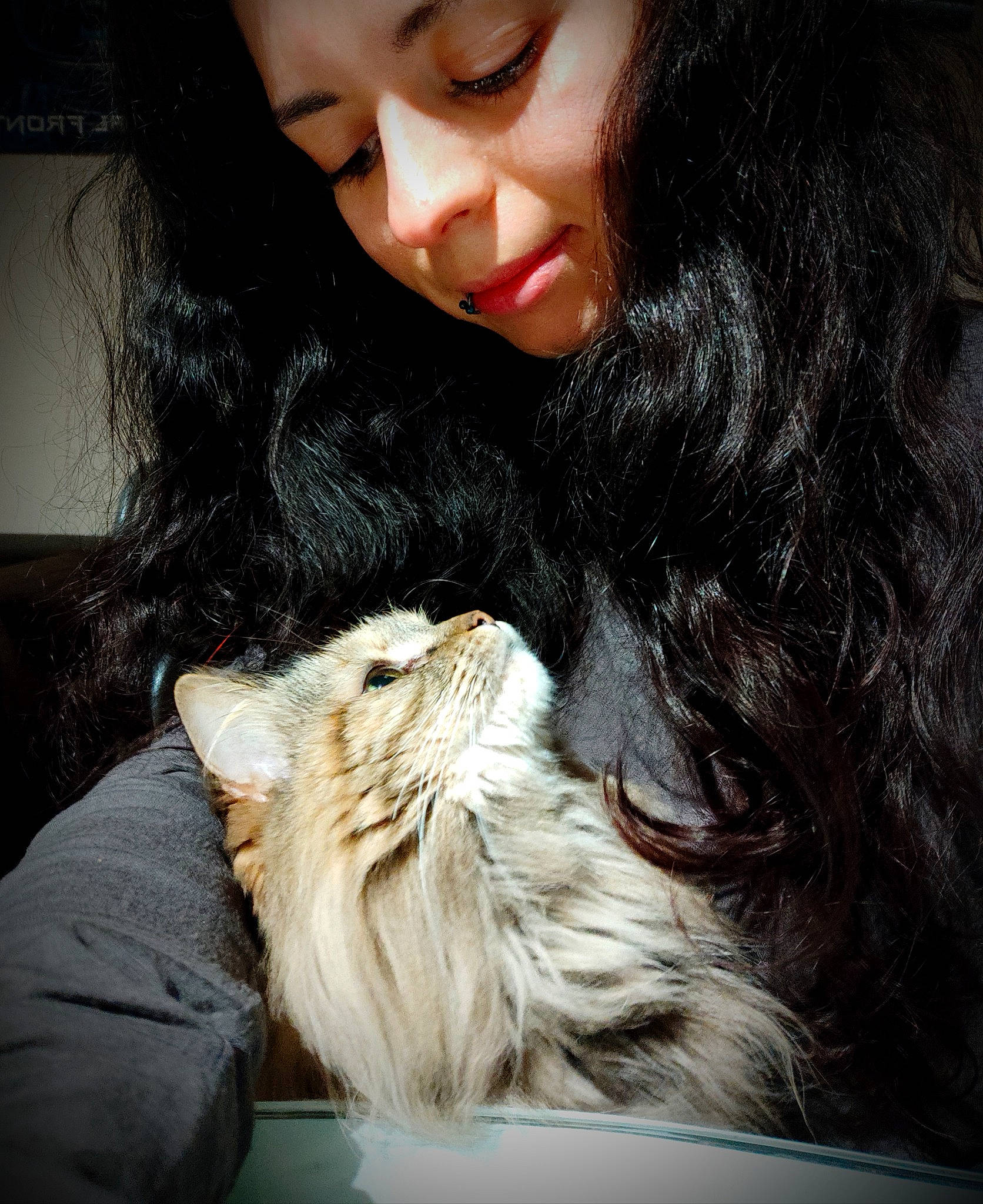 Lixy participe au concours pour gagner de l'argent avec cette photo : brown_hair, canidae, carnivore, cat, claw, comfort, companion_dog, dog_breed, eyelash, fawn, felidae, fur, gesture, happy, long_hair, nose, small_to_medium_sized_cats, snout, sporting_group, whiskers