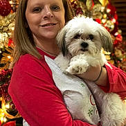 Lexi is registered to the contest to win money with this photo: woman, dog, pet, fluffy_dog, holiday, christmas_tree, ornaments, festive, smiling, portrait, indoor, red_shirt, white_dog, decorations, celebration, happy, holding, cute, background, warm_lighting