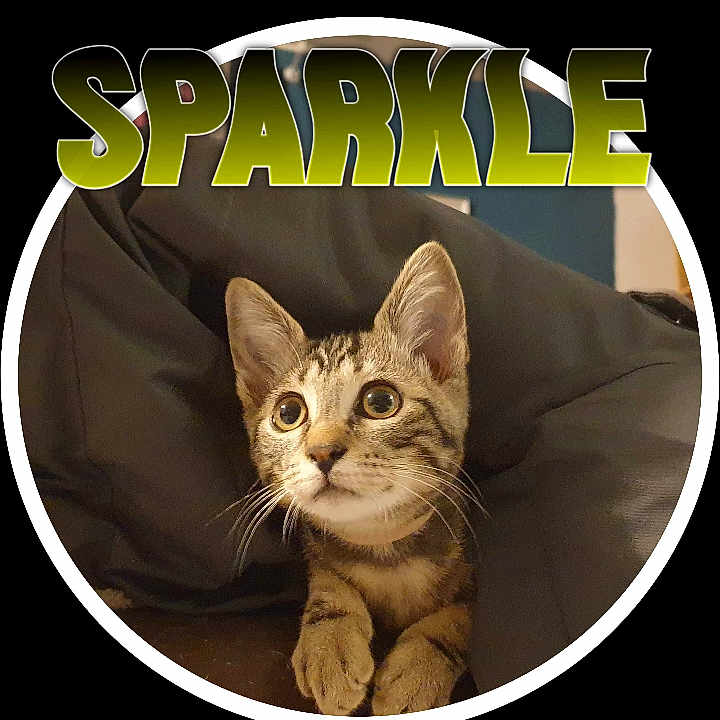 Sparkle