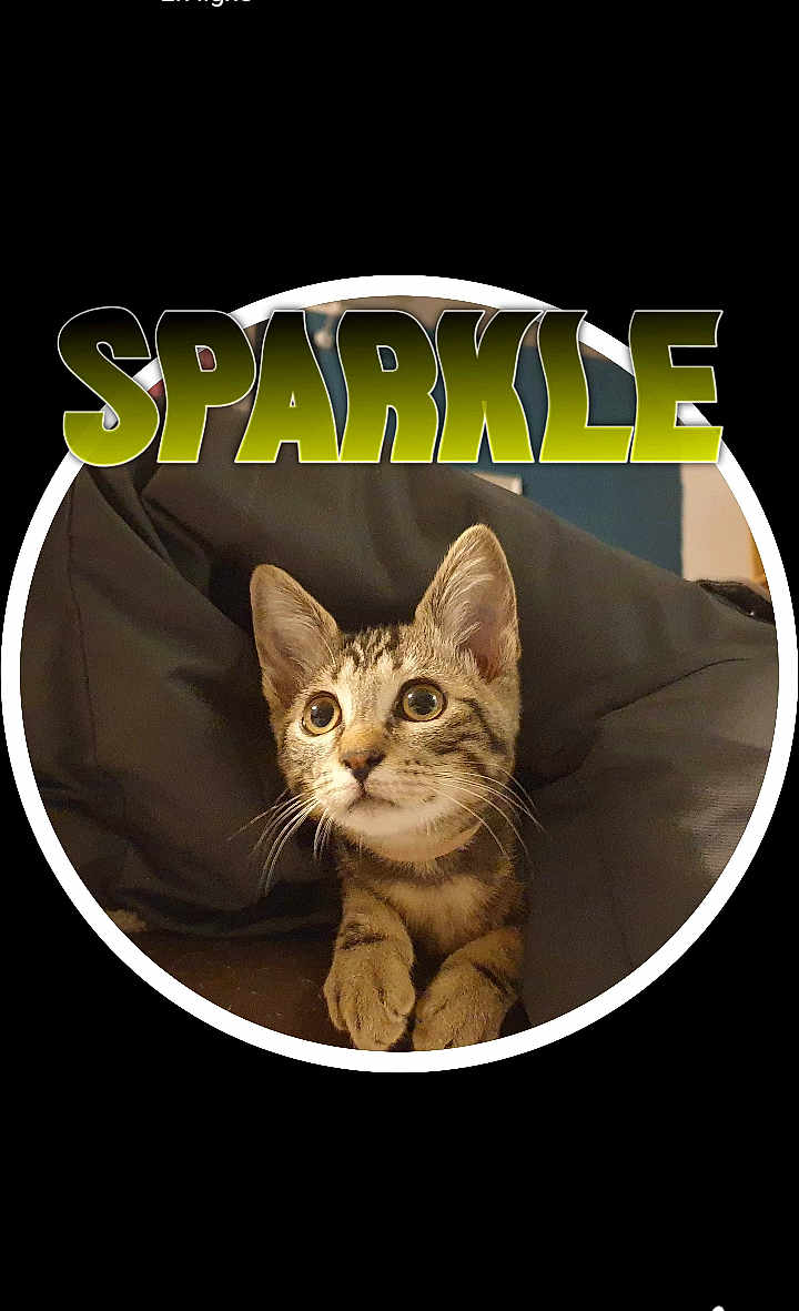 Sparkle