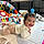 Eshani Reddy