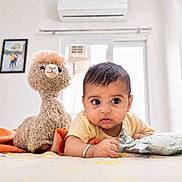 Saanvi joined the competition — help win amazing prizes! baby, child, plush_toy, stuffed_animal, bed, pillow, blanket, indoor, curious, soft_toy, window, frame, photograph, home, cute, infant, person, casual_clothing, face, lying_down