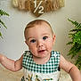 baby, child, blue_eyes, green_plants, checkered_outfit, embroidery, ducks, fluffy_rug, curious_expression, milestone_sign, indoor, decor, smiling, cute, portrait, sitting, infant, face, buttoned_clothing, half_year