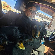 Braxton joined the competition — help win amazing prizes! black_dog, cap, car_interior, casual_clothing, center_console, dachshund, dashboard, dog, glasses, hand, man, outdoor_view, pet, seat, seatbelt, sunlight, tan_dog, vehicle, water_bottle, window