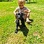 Star joined the competition — help win amazing prizes! backyard, barefoot, bicycle, black_dog, chair, child, dog, grass, greenery, outdoor, pet, play, puppy, shade, sitting, summer, sunlight, table, toddler, young_child