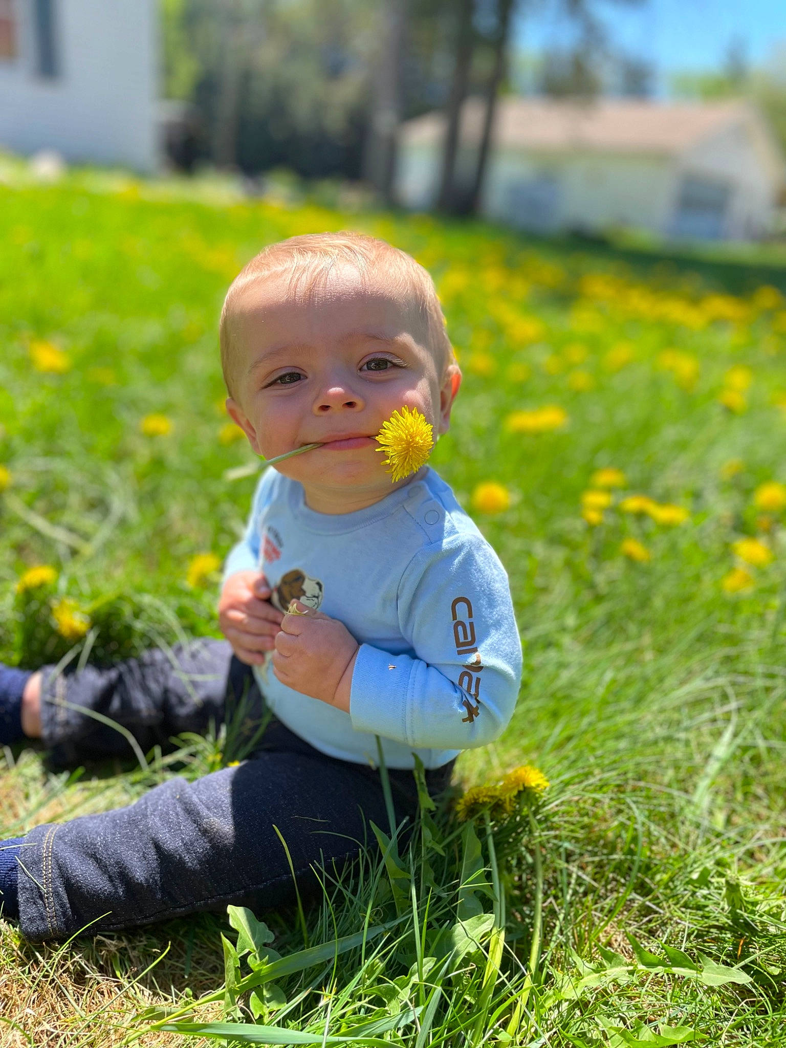 Orrin joined the competition — help win amazing prizes! baby, baby_toddler_clothing, child, field, flower, fun, garden, grass, grass_family, grassland, happy, lawn, meadow, people_in_nature, person, plant, play, portrait_photography, prairie, sitting