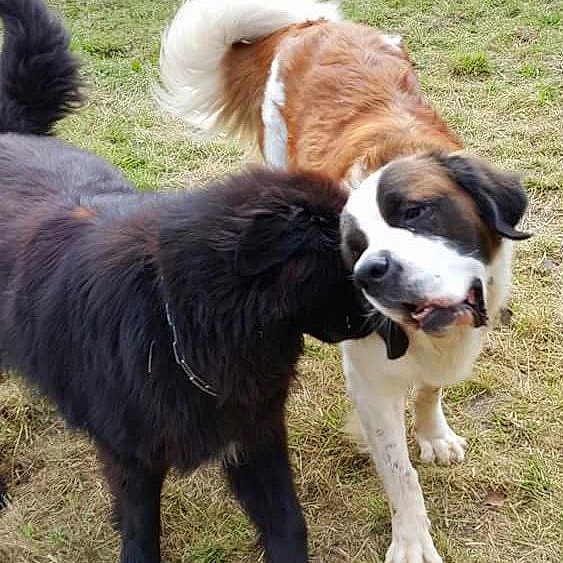Iwok Et Sa Copine Inaya