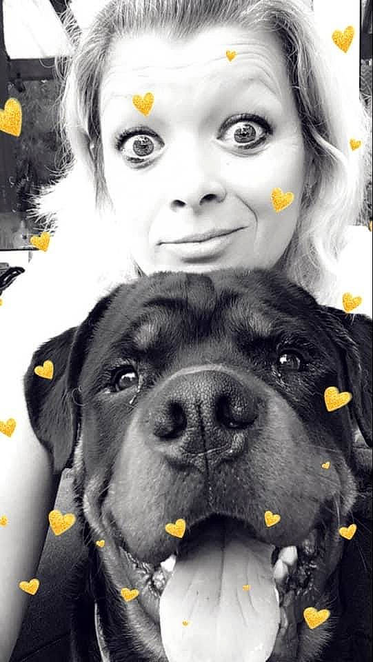 Reïki a rejoint le concours — aidez-le/la à gagner de superbes lots ! beauty, black, carnivore, collar, companion_dog, dog, dog_breed, eye, eyelash, happy, iris, nose, organ, photograph, snapshot, snout, style, whiskers, white, working_animal