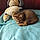 Louna