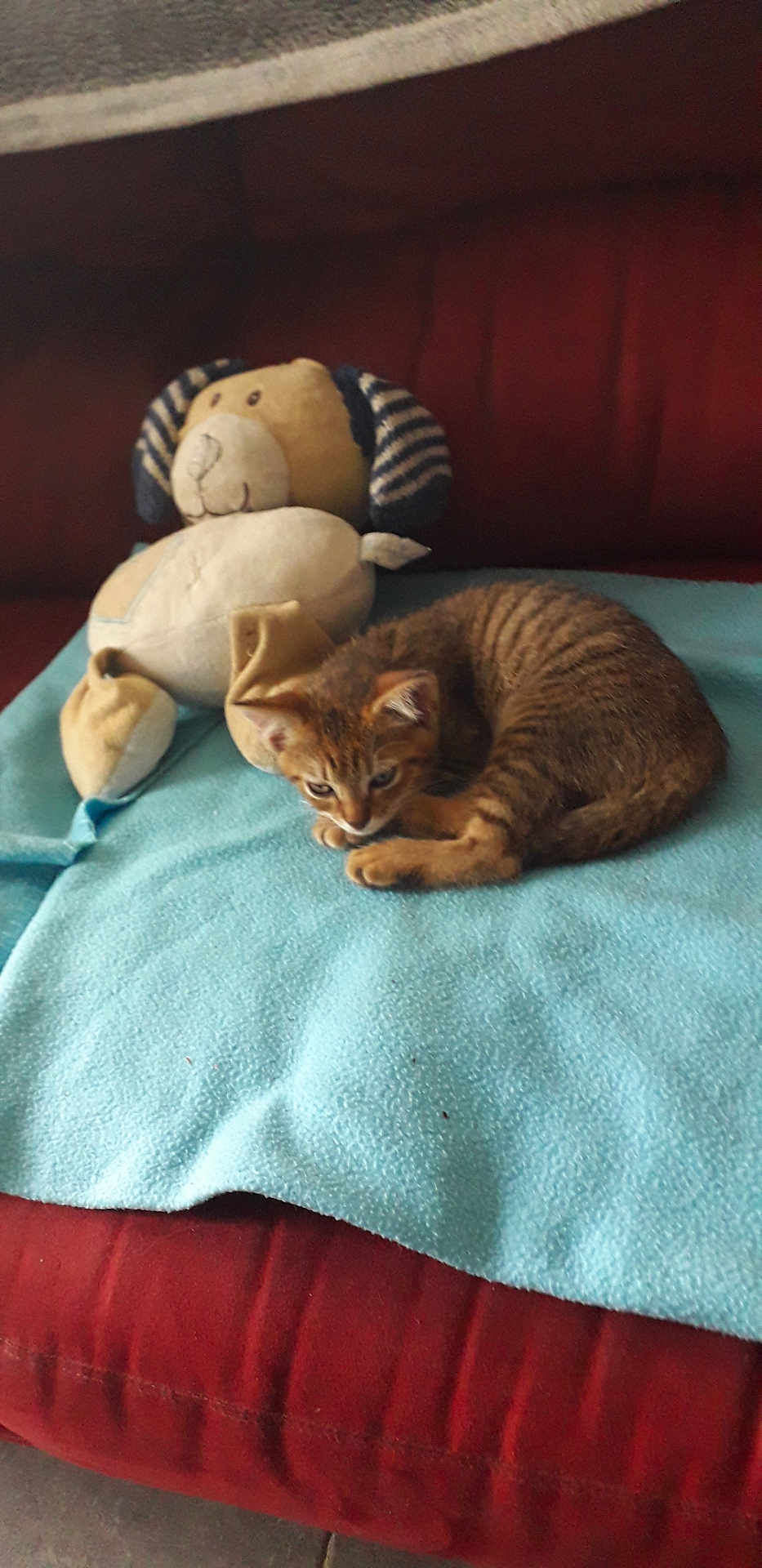 Louna