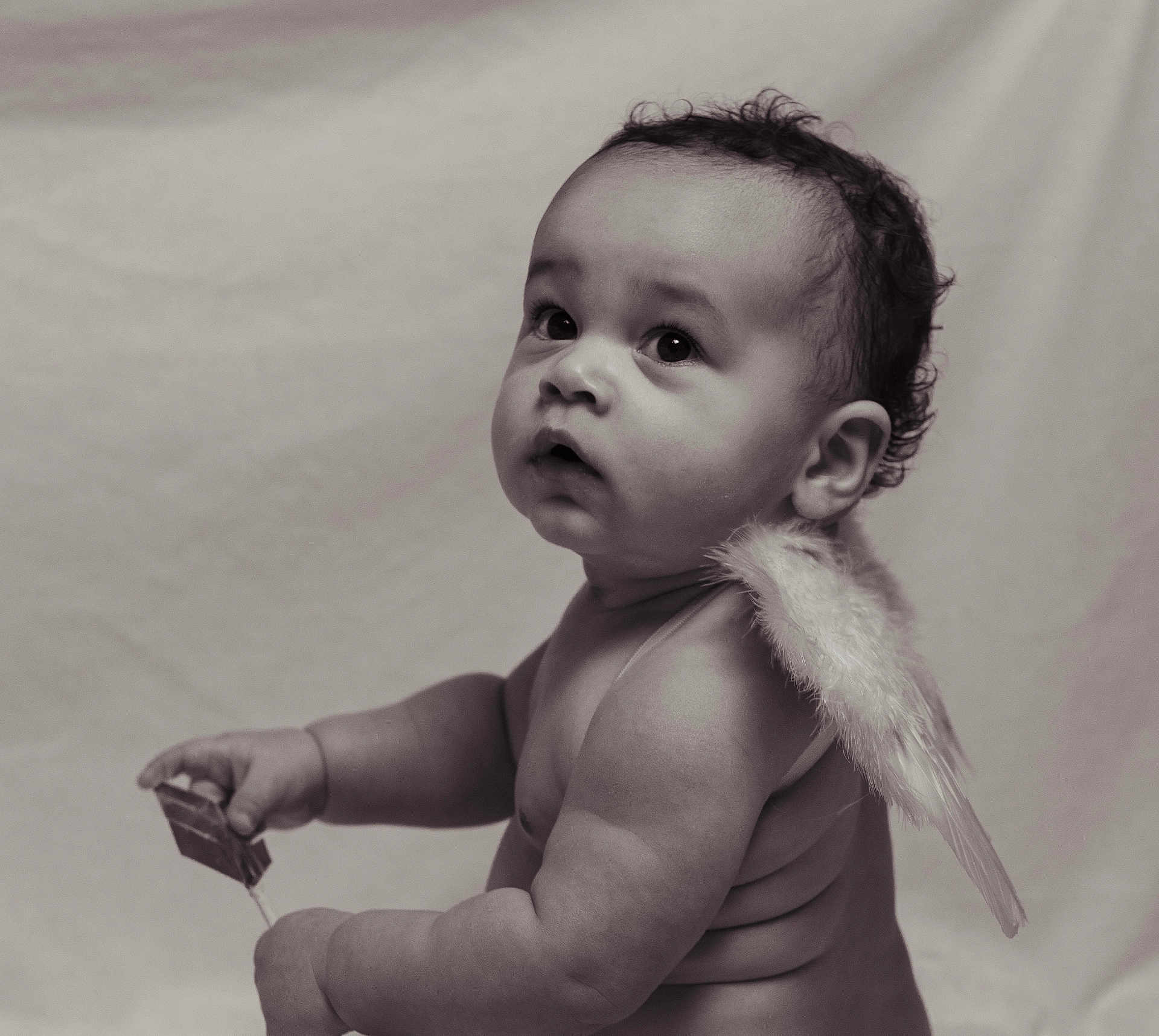 Danté is registered to the contest to win money with this photo: angel_wings, arm, baby, background, child, chubby, closeup, curly_hair, cute, expression, hand, infant, innocent, looking_up, monochrome, portrait, skin, small_object, soft_light, studio