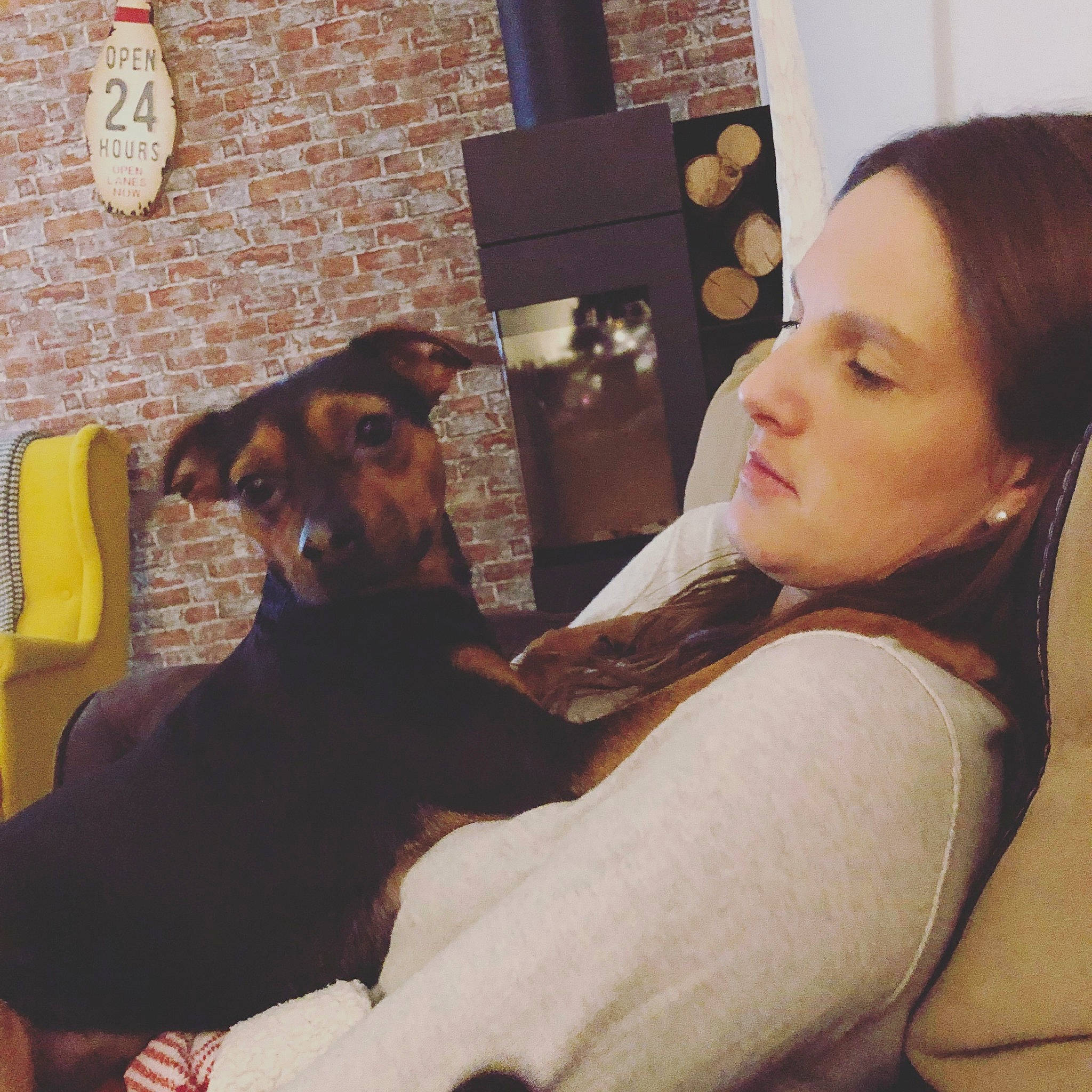 Napoleon participe au concours pour gagner de l'argent avec cette photo : carnivoran, dog, dog_breed, dog_like_mammal, ear, girl, nose, person, puppy, skin, square