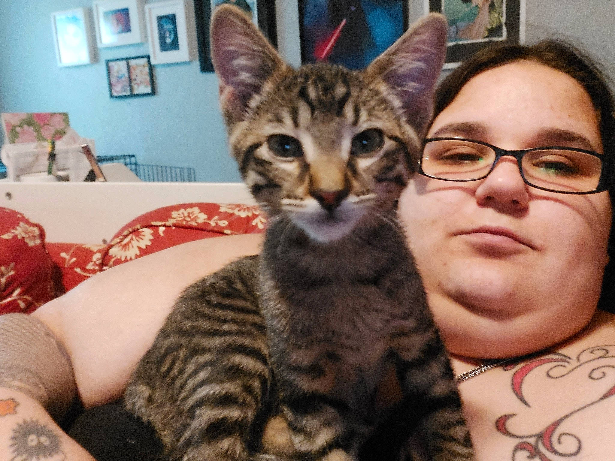 Ella joined the competition — help win amazing prizes! carnivore, cat, comfort, domestic_short_haired_cat, ear, event, eyewear, felidae, fur, glasses, happy, iris, paw, picture_frame, selfie, sitting, small_to_medium_sized_cats, snout, vision_care, whiskers