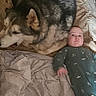 Rowan is registered to the contest to win money with this photo: baby, dog, blanket, bed, fur, animal, child, indoor, resting, cute, pet, mammal, sleeping, comfort, friendship, portrait, face, clothing, young, relaxation