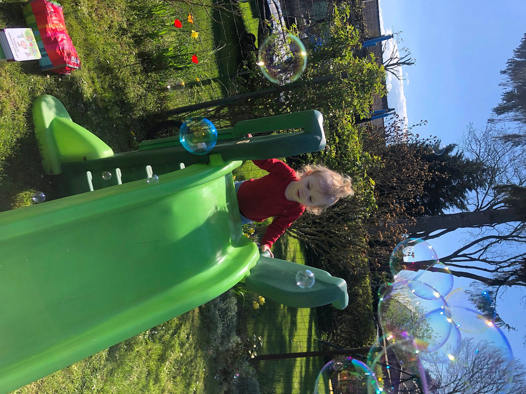 Tennessee participe au concours pour gagner de l'argent avec cette photo : botany, chute, city, fun, grass, green, leisure, outdoor_play_equipment, person, plant, playground, pole, recreation, shrub, sky, tree