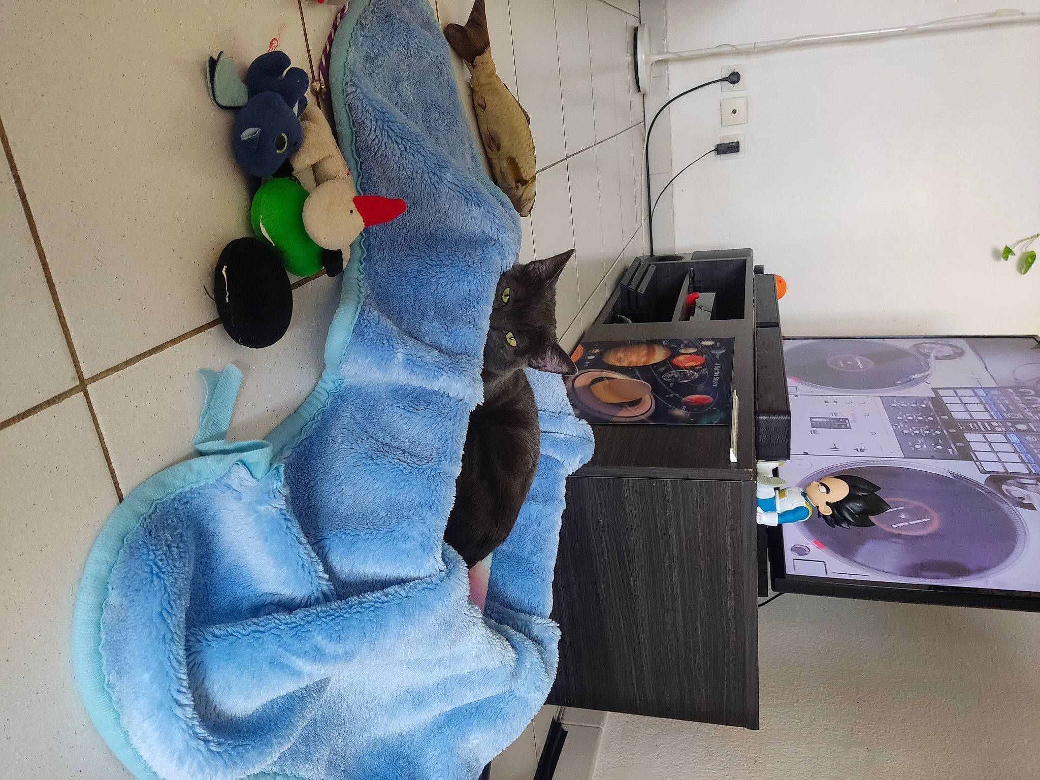 Mochi a rejoint le concours — aidez-le/la à gagner de superbes lots ! art, audio_equipment, automotive_design, carmine, chair, comfort, desk, flooring, fur, grey, machine, office_equipment, plush, room, sitting, stuffed_toy, table, textile, toy, visual_arts