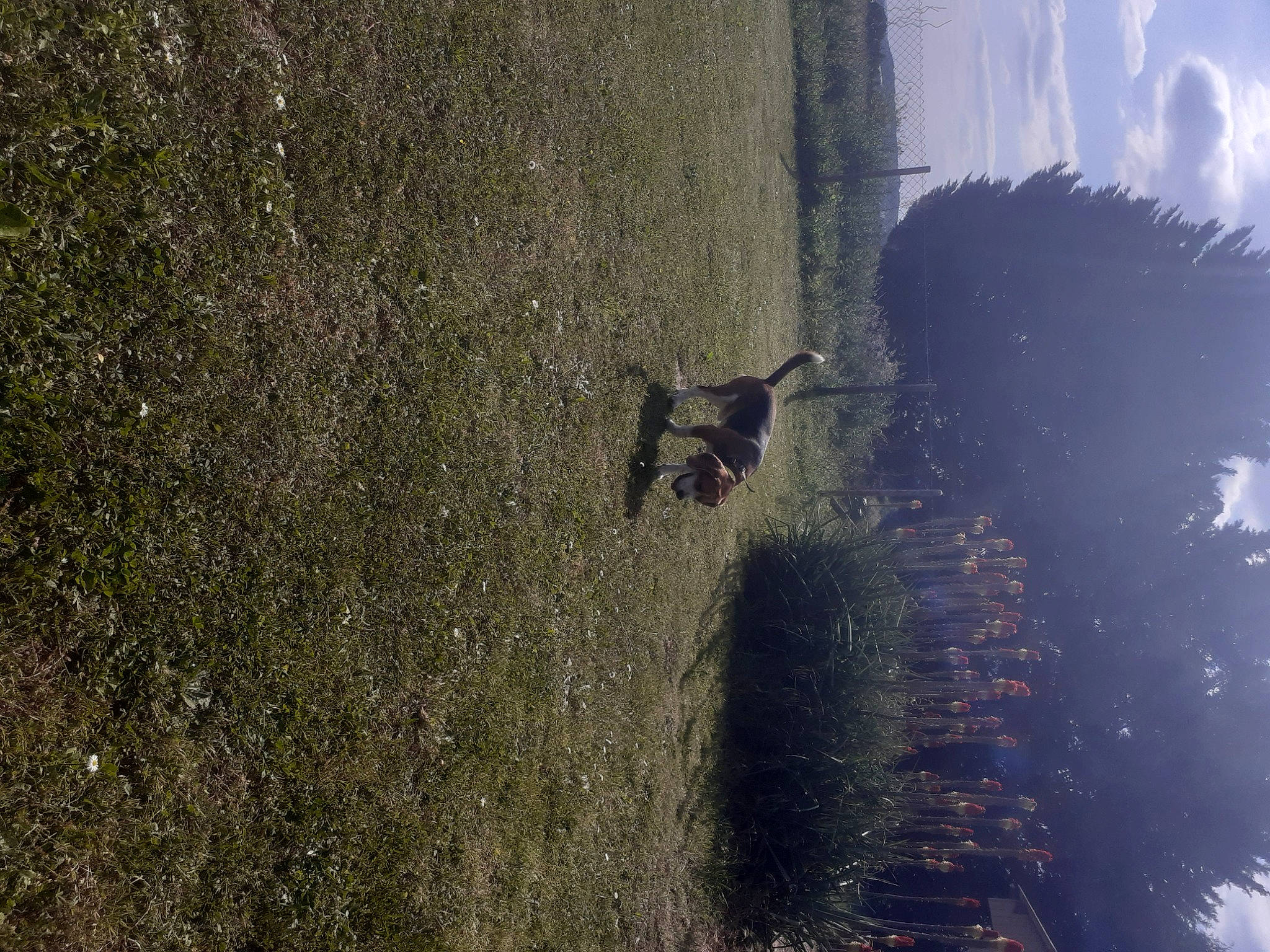 Tayco a rejoint le concours — aidez-le/la à gagner de superbes lots ! asphalt, cloud, grass, landscape, nature, palm_tree, plant, recreation, reflection, road_surface, rock, sky, soil, tints_and_shades, tree, trunk, wall, water, window, wood