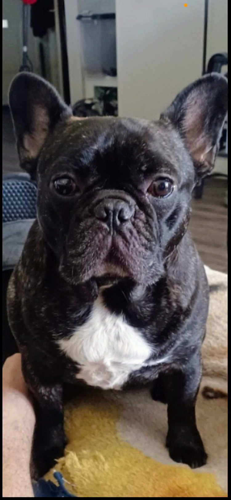Benito