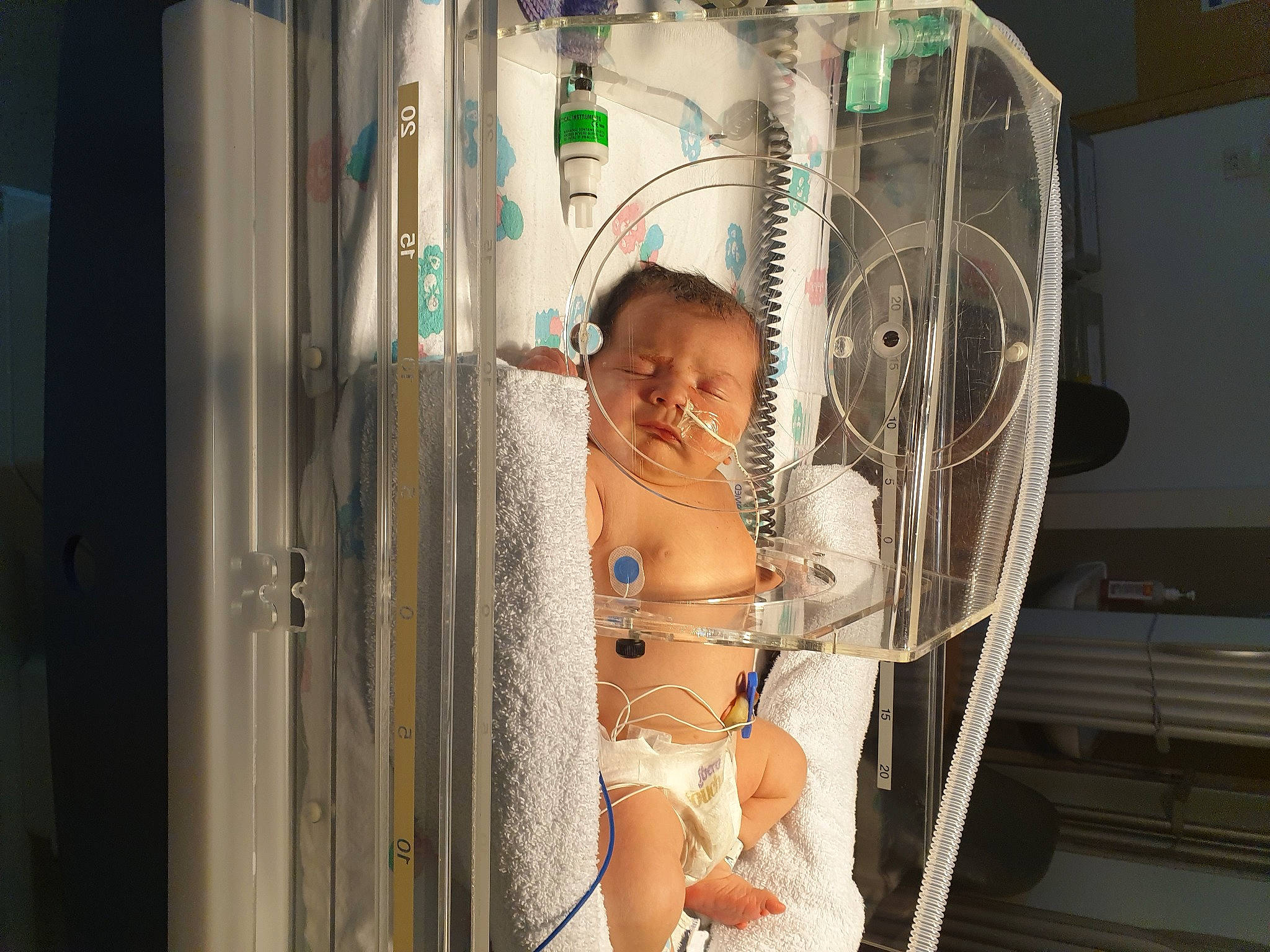 Cory-lee is registered to the contest to win money with this photo: abdomen, baby, barechested, brassiere, chest, child, diaper, human_leg, lingerie, machine, navel, person, refrigerator, room, smile, thigh, toddler, trunk, undergarment, underpants