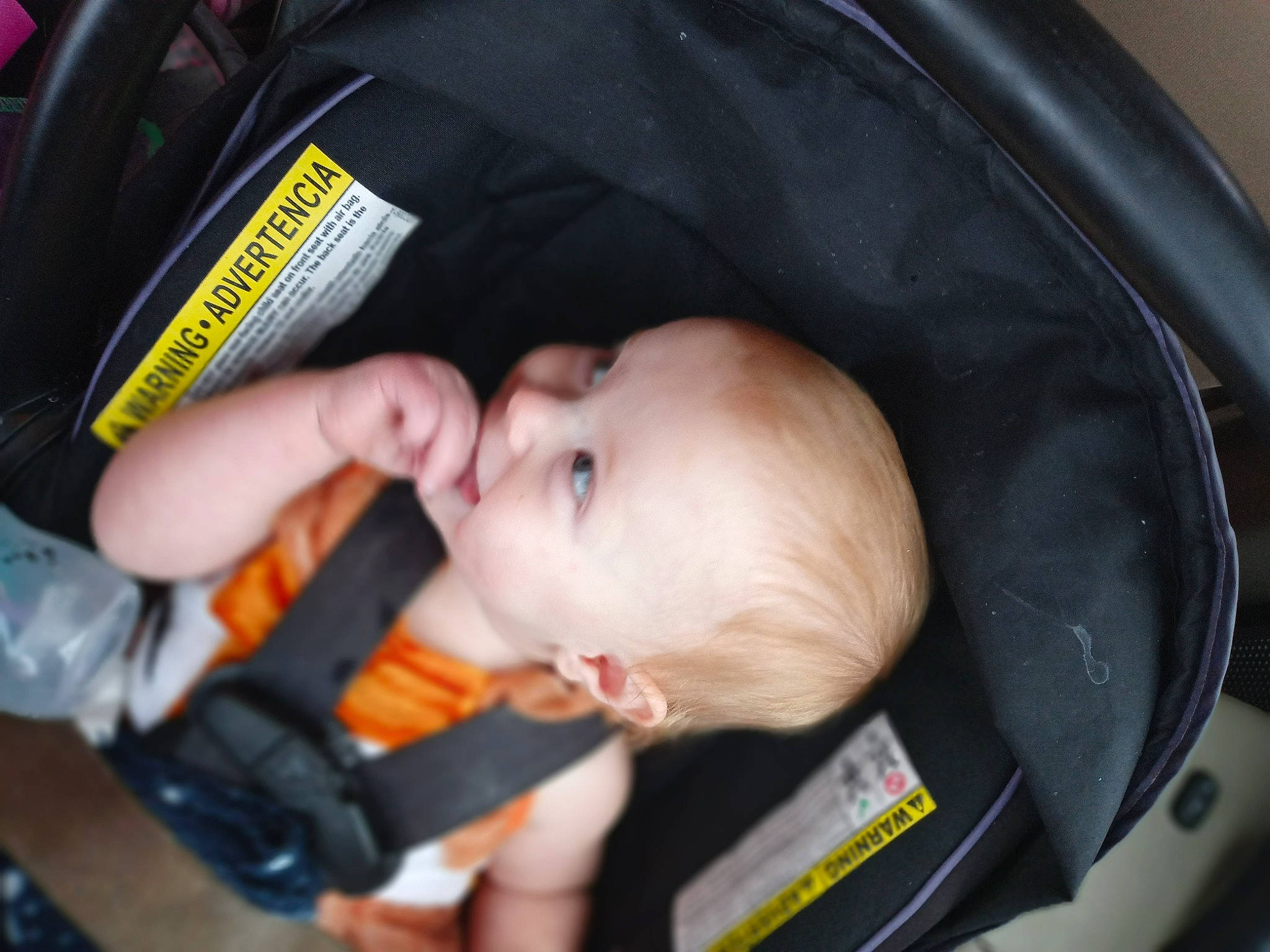 Savannah is registered to the contest to win money with this photo: auto_part, baby, baby_carriage, baby_products, baby_safety, baby_toddler_clothing, bag, baggage, car_seat, cheek, child, comfort, person, sitting, toddler
