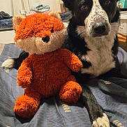 Tango a rejoint le concours — aidez-le/la à gagner de superbes lots ! dog, stuffed_toy, bed, indoor, black_and_white, fox_toy, plush, animal, pet, fur, blanket, television, cartoon, cozy, resting, cute, companion, domestic, animal_face, relaxed