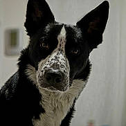 Tango a rejoint le concours — aidez-le/la à gagner de superbes lots !