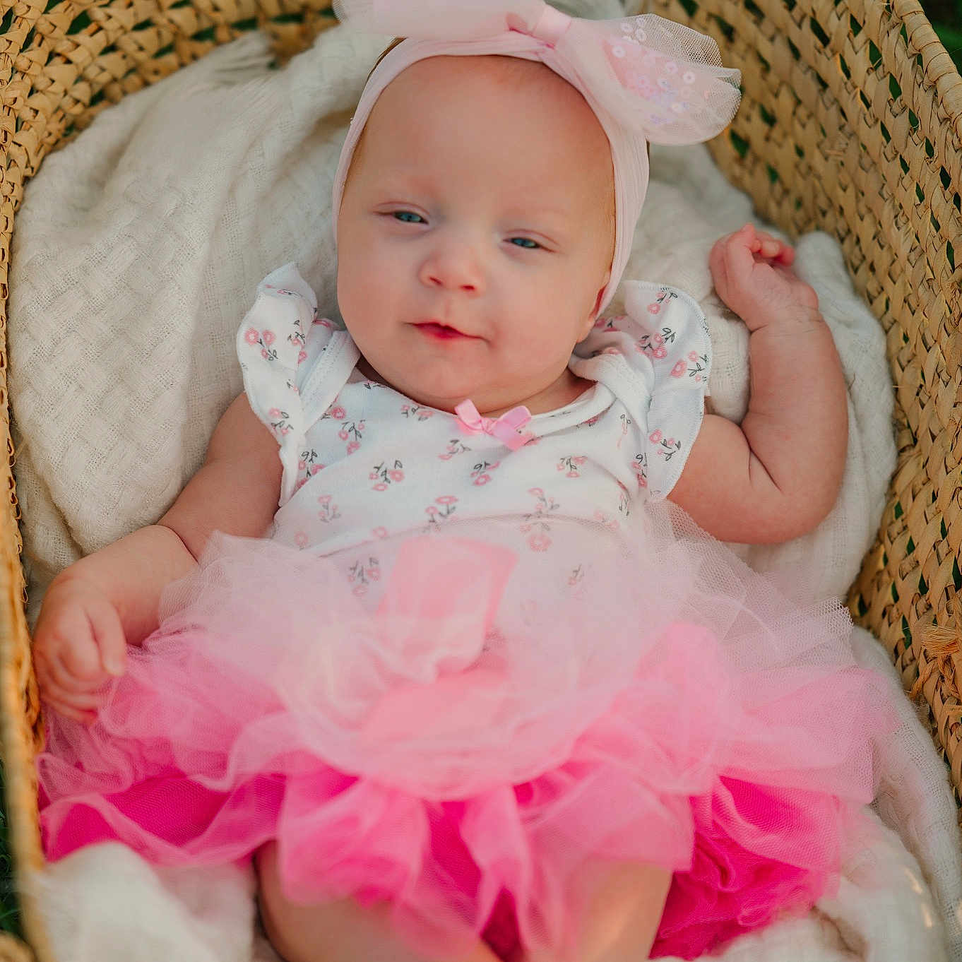 Amora is registered to the contest to win money with this photo: