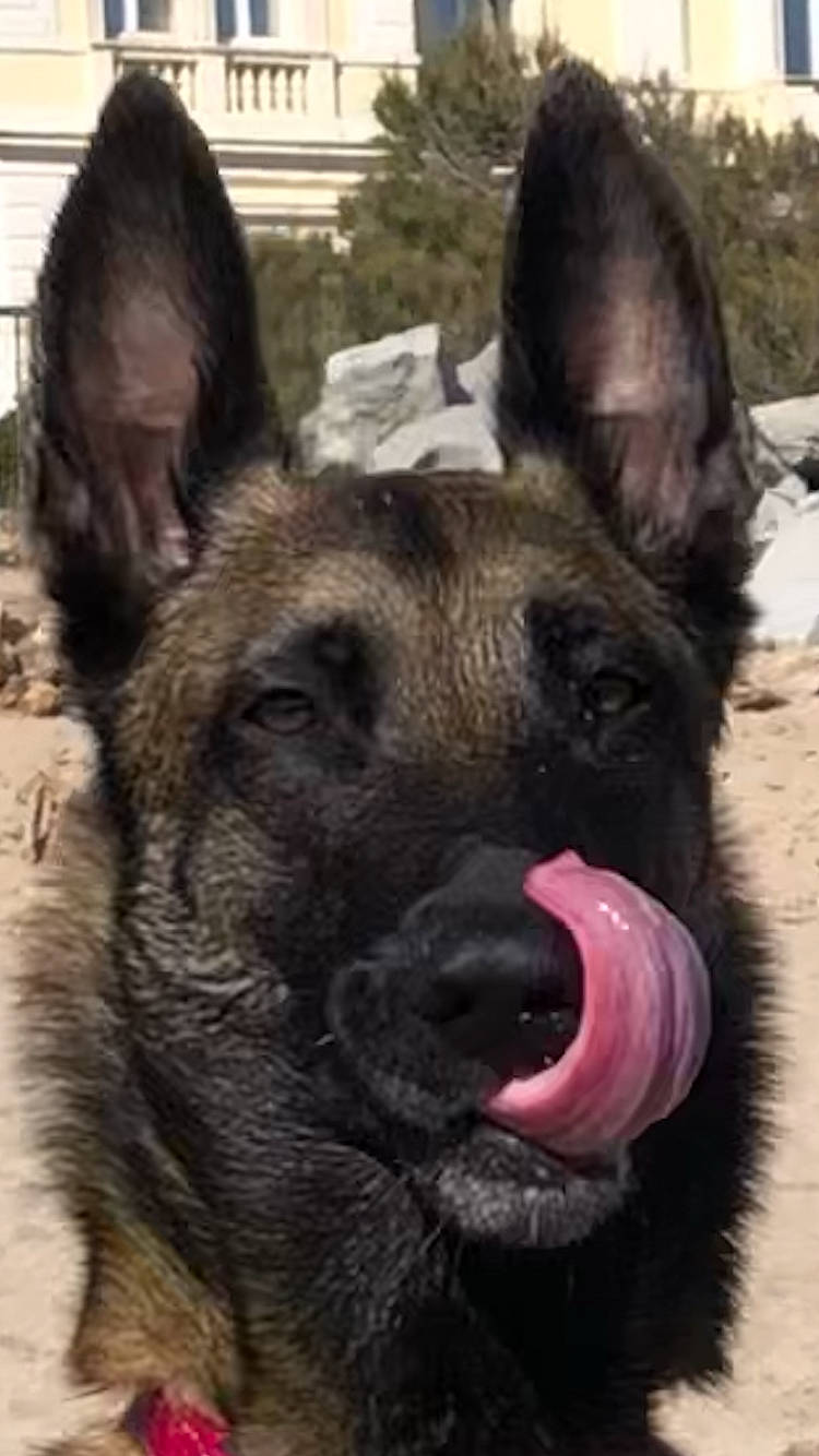 Nash Des âmes Vagabondes