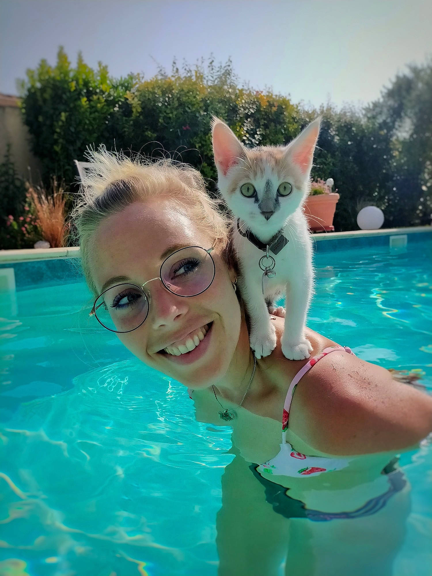 Simone a rejoint le concours — aidez-le/la à gagner de superbes lots ! aqua, bathing, blue, carnivore, cat, cool, felidae, glasses, grass, green, happy, mammal, sky, small_to_medium_sized_cats, smile, summer, sunglasses, swimming_pool, vertebrate, water