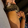 person, cat, kitten, sleeping, resting, closeup, shoulder, arm, watch, bracelet, skin, fur, indoor, cozy, relaxation, nap, human, animal, pet, affection