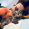 cat, kitten, person, glasses, bed, blanket, fur, relaxing, indoor, closeup, resting, comfort, cute, pet, animal, young, feline, portrait, lying_down, cozy