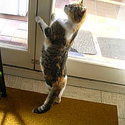 Sylla participe au concours pour gagner de l'argent avec cette photo :