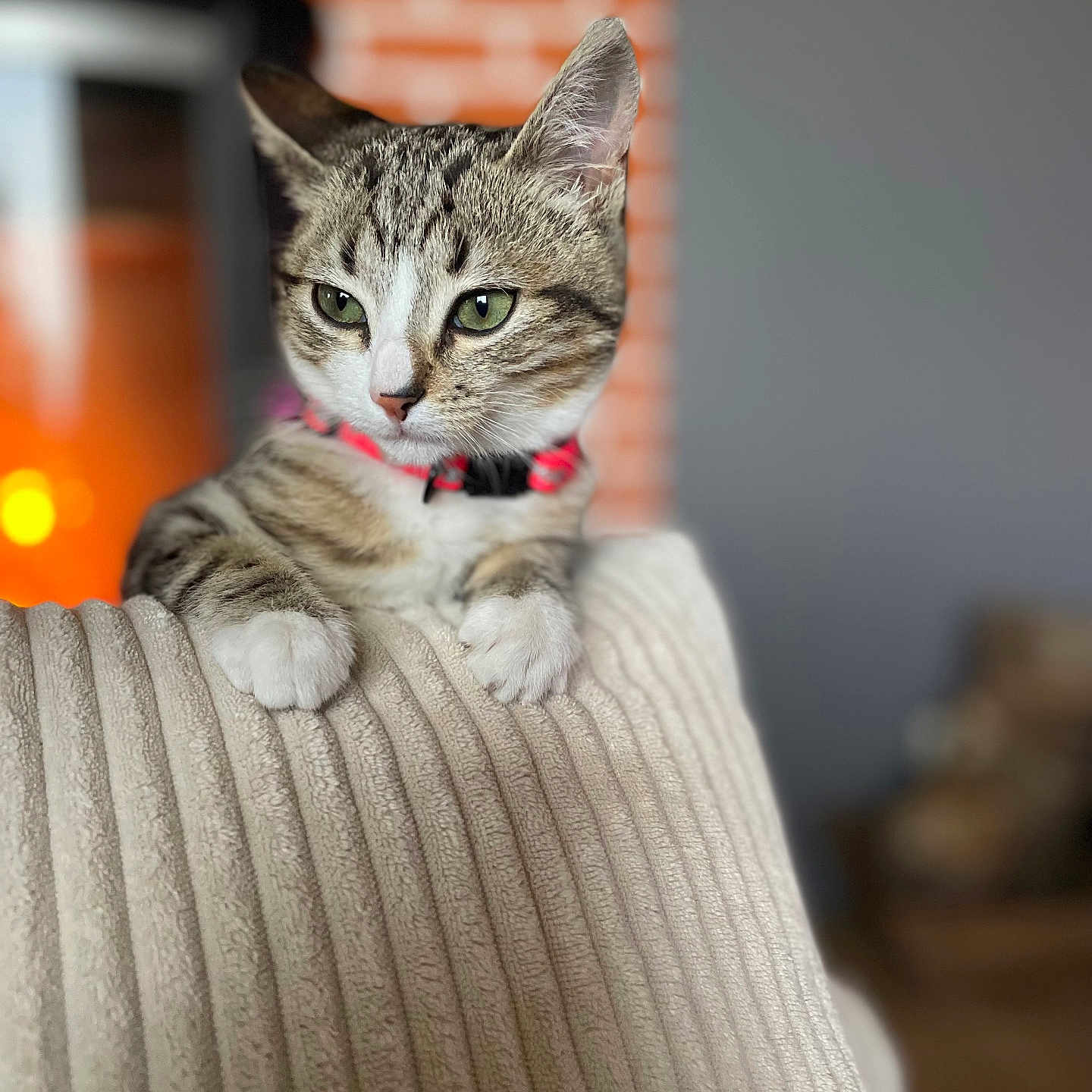Mia