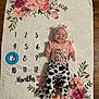 baby, birthdaycake, cake, clothing, cream, cushion, dessert, face, flower, food, head, homedecor, number, pattern, person, photography, portrait, symbol, t_shirt, text