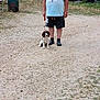 man, dog, leash, gravel, outdoor, casual_clothing, shorts, tshirt, footwear, grass, barrel, farm, rustic, equipment, pet, animal, standing, sitting, daytime, nature