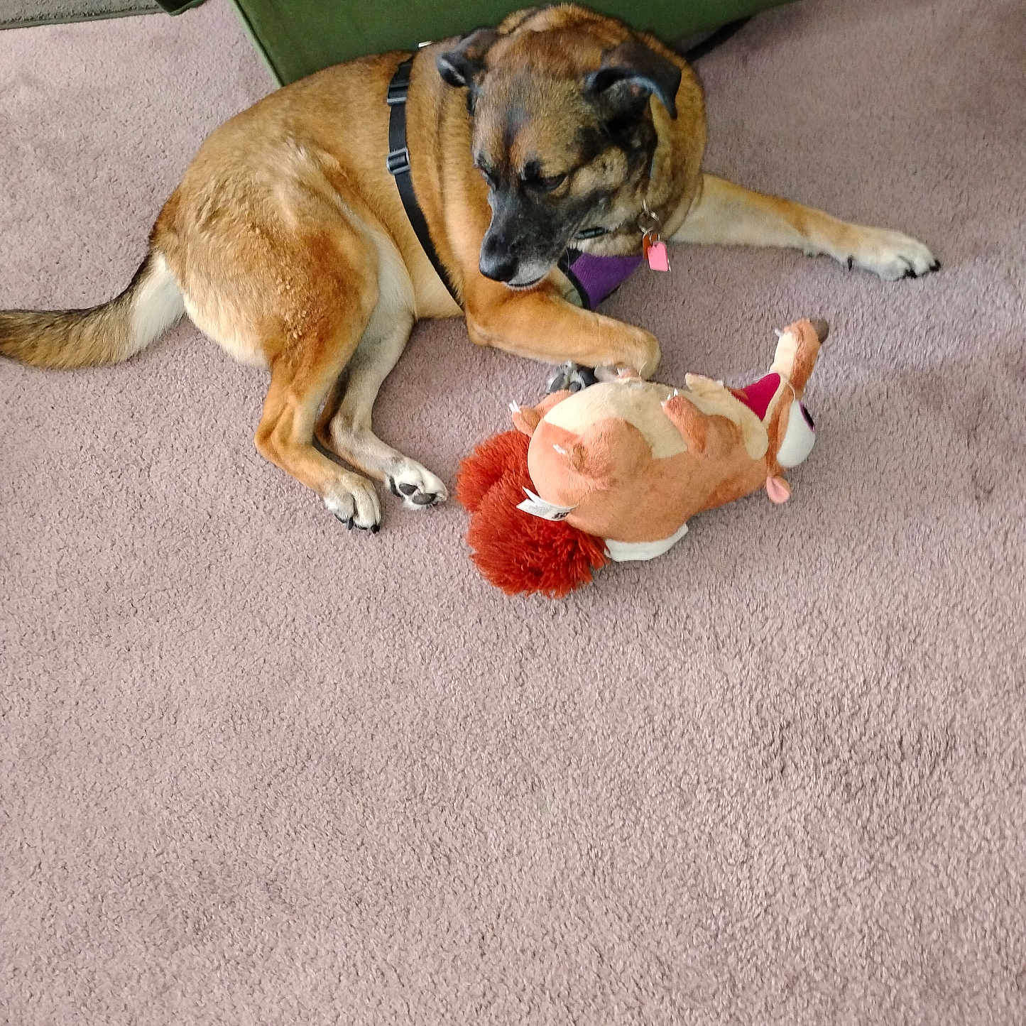 Kiki