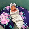 newborn, baby, swaddle, hat, bow, sleeping, pillow, floral, purple, striped, cute, peaceful, resting, soft, green, background, infant, child, portrait, cozy