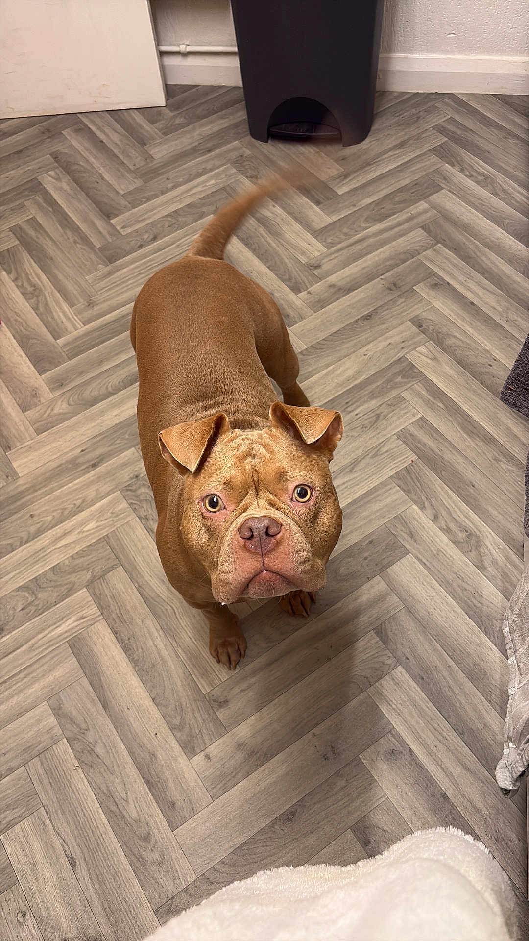 Luna