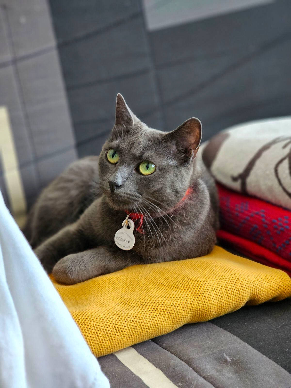 Mowglie