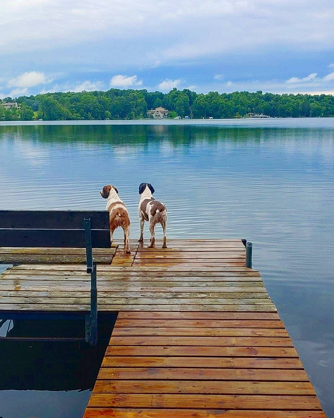 Drake joined the competition — help win amazing prizes! boardwalk, calm, dock, happy, horizon, lake, leisure, nonbuilding_structure, pier, reflection, reservoir, sea, sitting, sky, summer, tourism, tree, vacation, water, wood