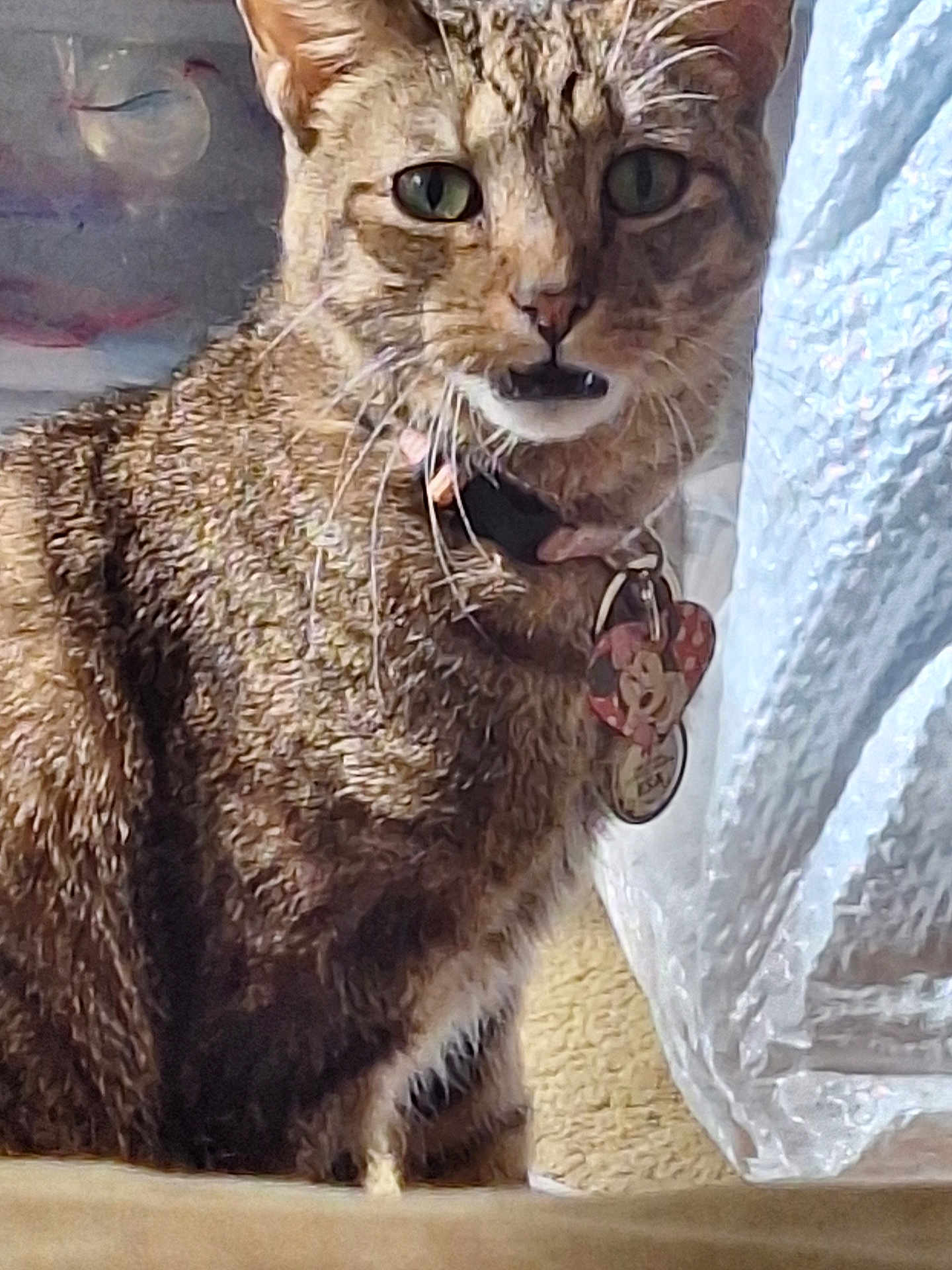 Bella
