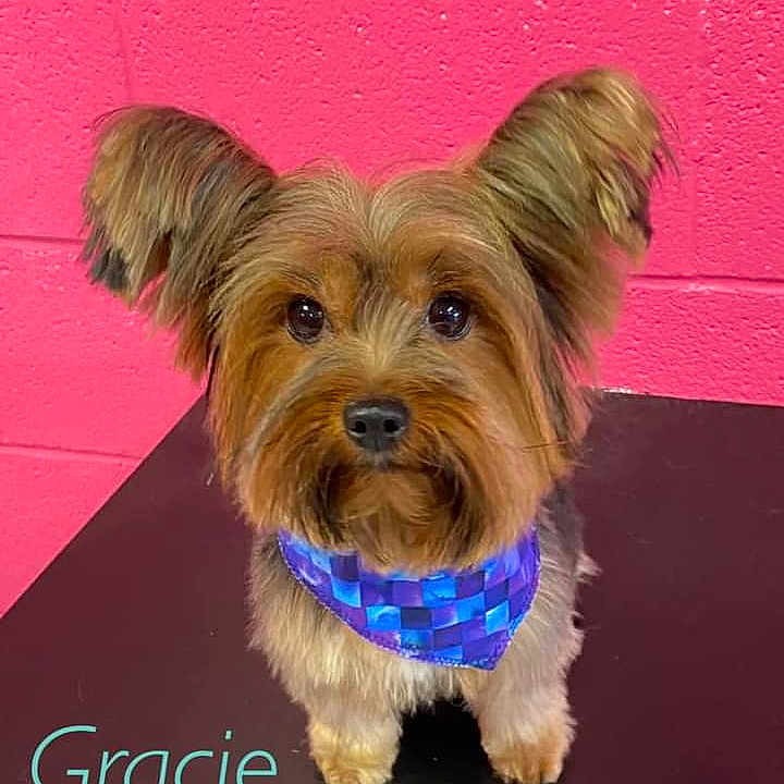 Gracie Mae