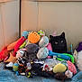 Binx joined the competition — help win amazing prizes! black_cat, cat, plush_toys, stuffed_animals, couch, blanket, feline, pets, indoor, cozy, colorful, toy_fish, toy_pineapple, toy_mouse, feathers, curious, resting, household, soft_toys, pet_toys