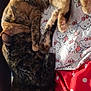 cat, cats, sleeping, cuddle, bed, blanket, hello_kitty, pattern, fur, pets, animal, cozy, closeup, indoor, resting, cute, domestic_animal, tabby, tortoiseshell, pink