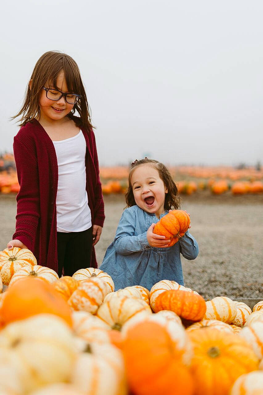 Olive joined the competition — help win amazing prizes! autumn, calabaza, child, cucurbita, family, fruit, fun, gourd, happy, joy, local_food, orange, people, person, photography, plant, pumpkin, smile, vacation, vegetable