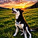 Absinthe