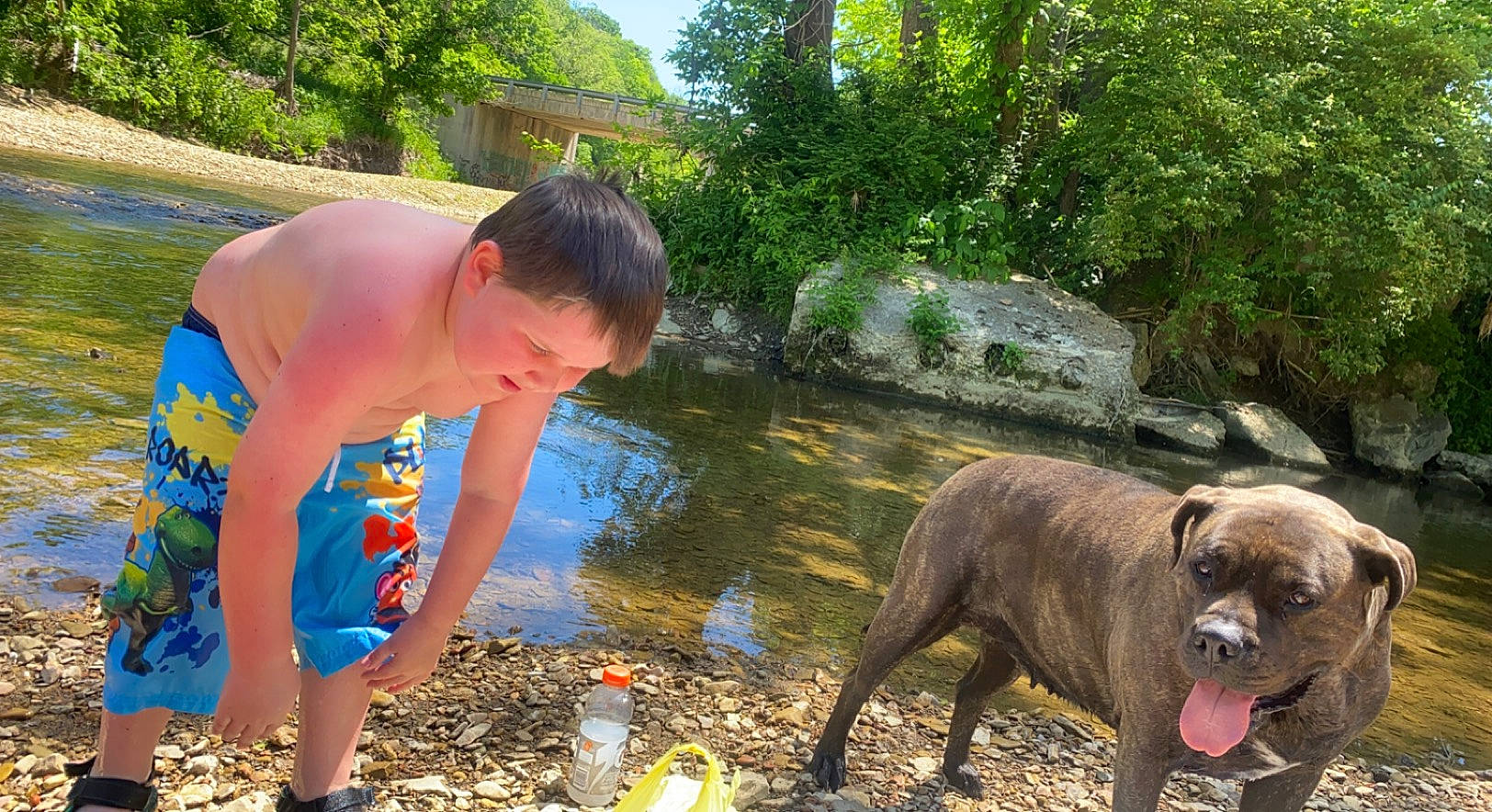 Sawyer is registered to the contest to win money with this photo: carnivore, companion_dog, dog, dog_breed, grass, lake, leisure, liver, person, plant, recreation, shorts, sky, stream, t_shirt, tail, terrestrial_animal, tree, water, watercourse